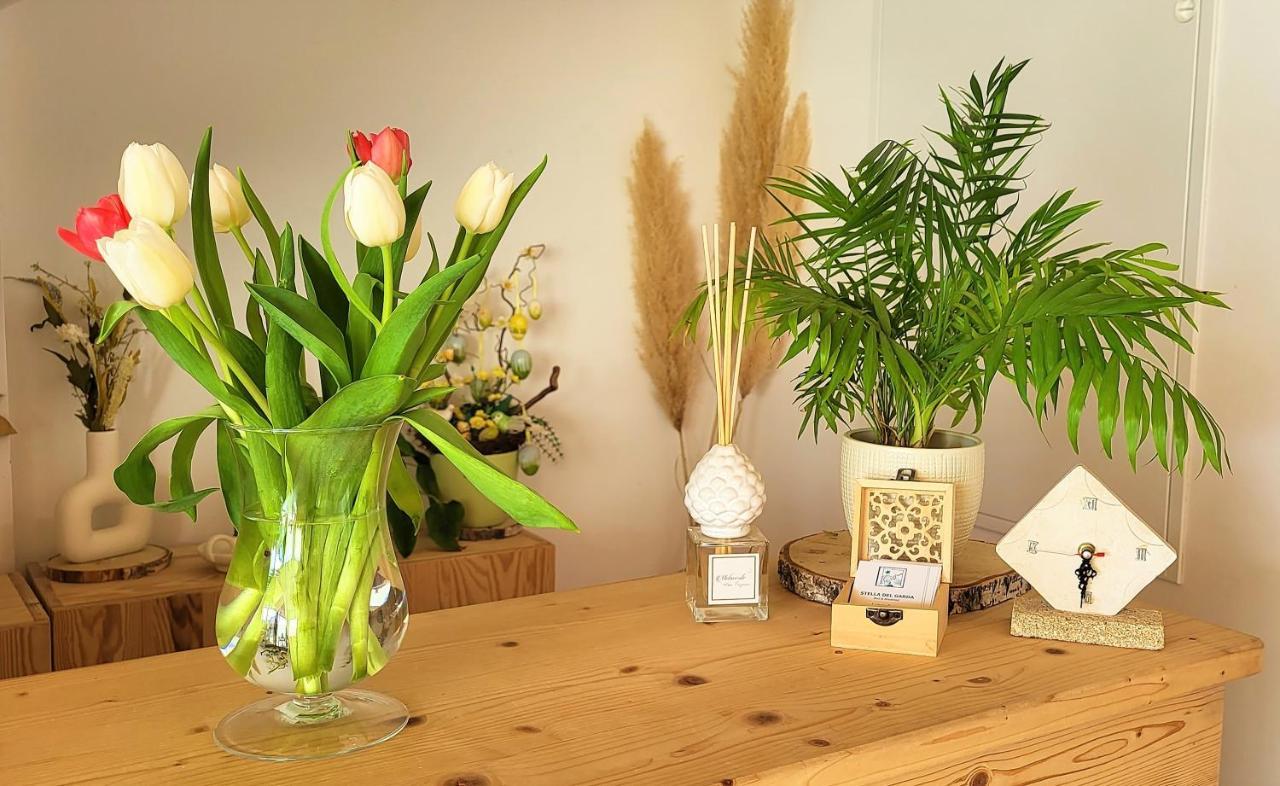 Stella Del Garda Bed & Breakfast ลาซีเซ ภายนอก รูปภาพ