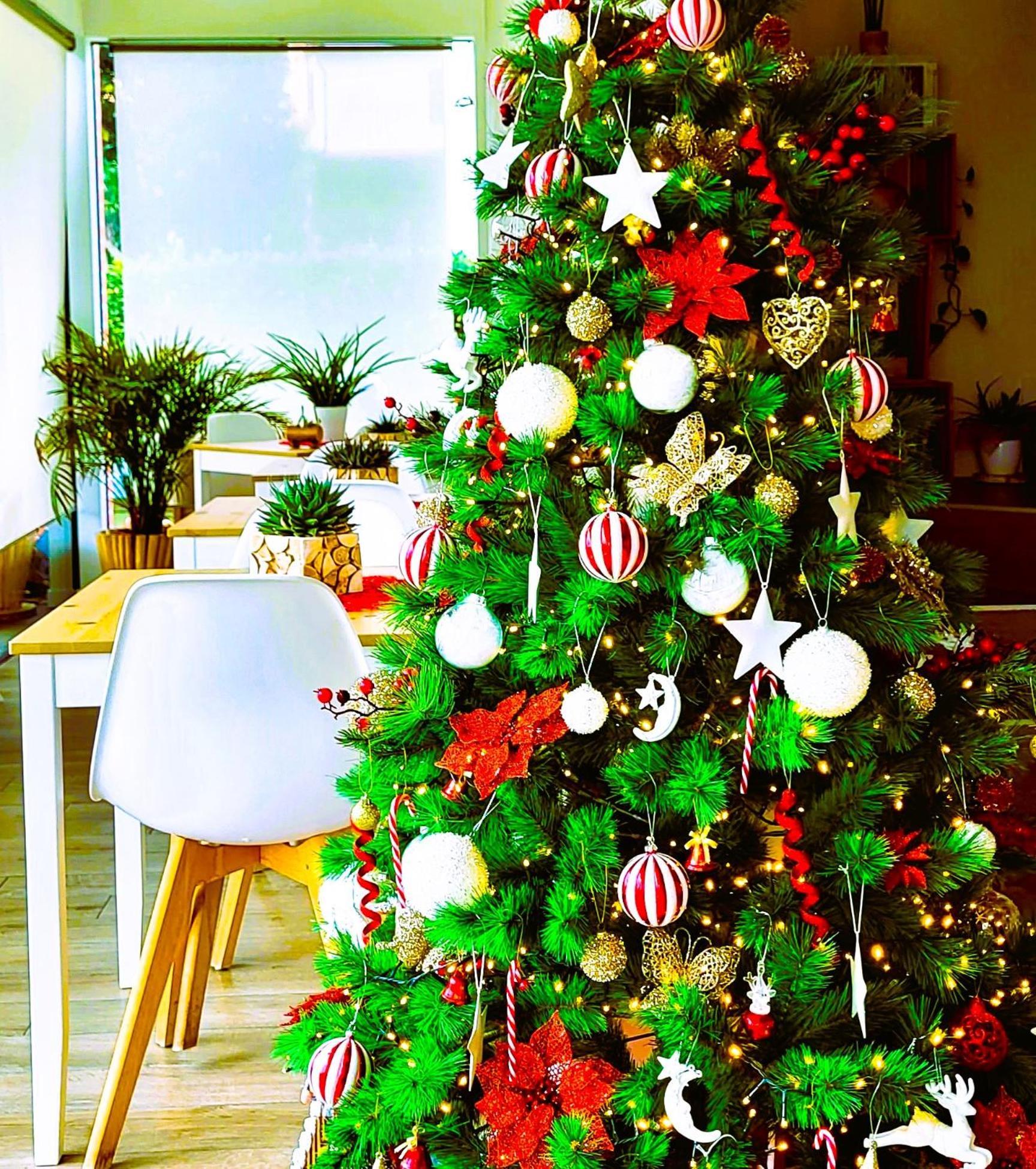Stella Del Garda Bed & Breakfast ลาซีเซ ภายนอก รูปภาพ