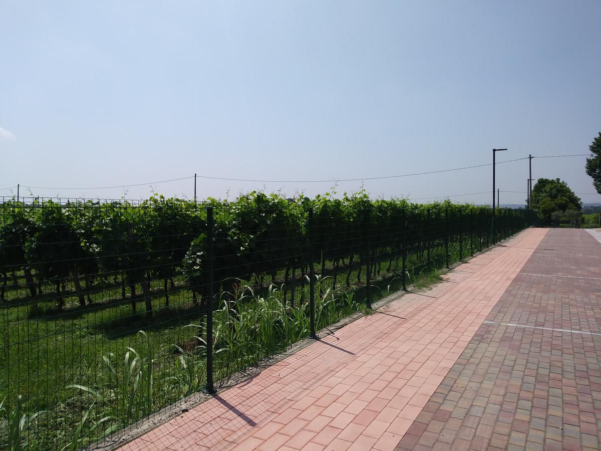Stella Del Garda Bed & Breakfast ลาซีเซ ภายนอก รูปภาพ